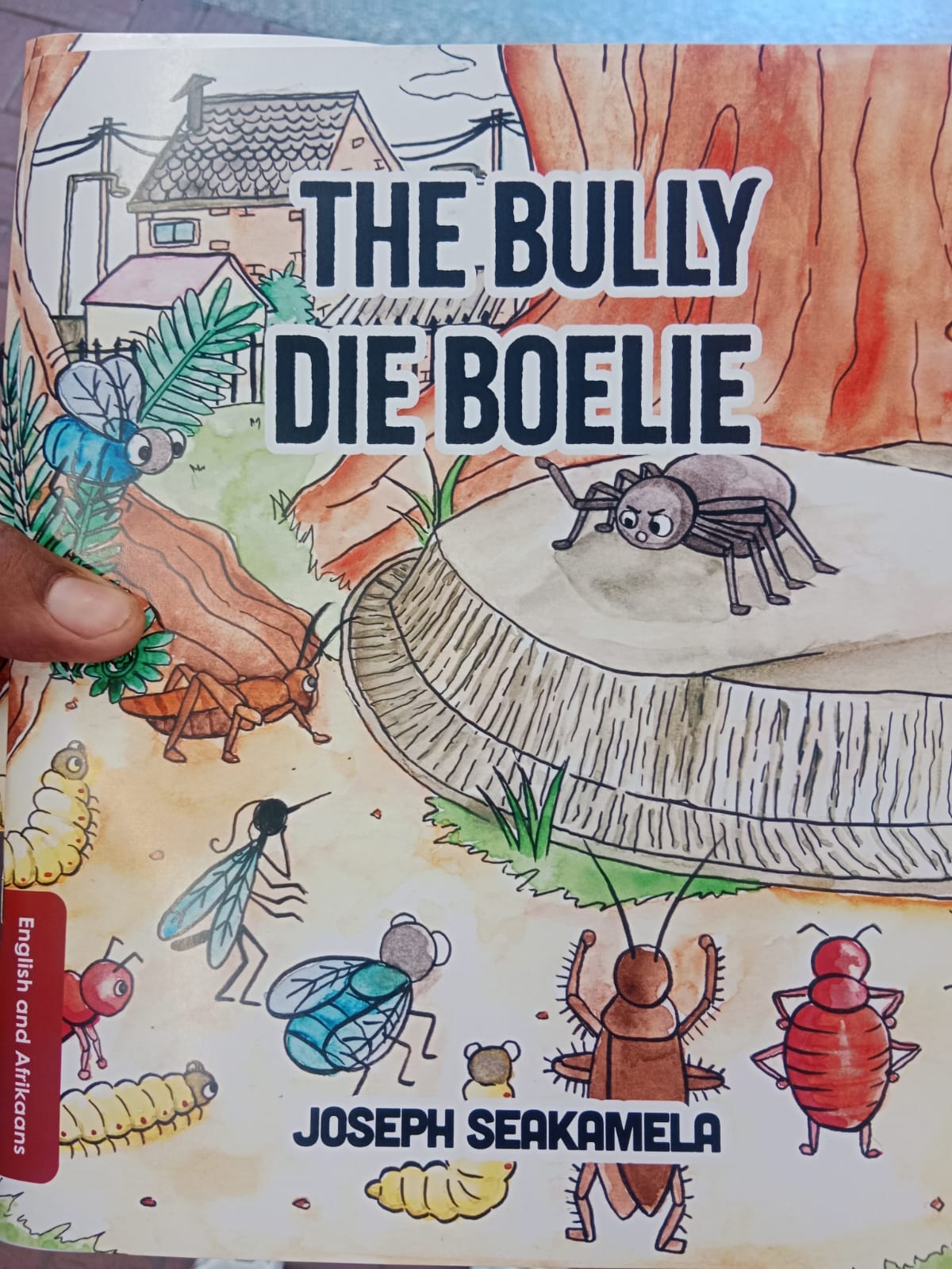 the bully die boelie